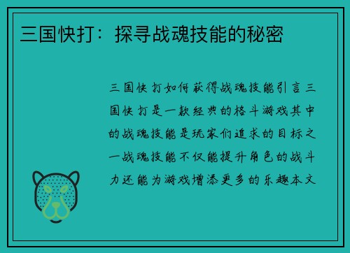 三国快打：探寻战魂技能的秘密